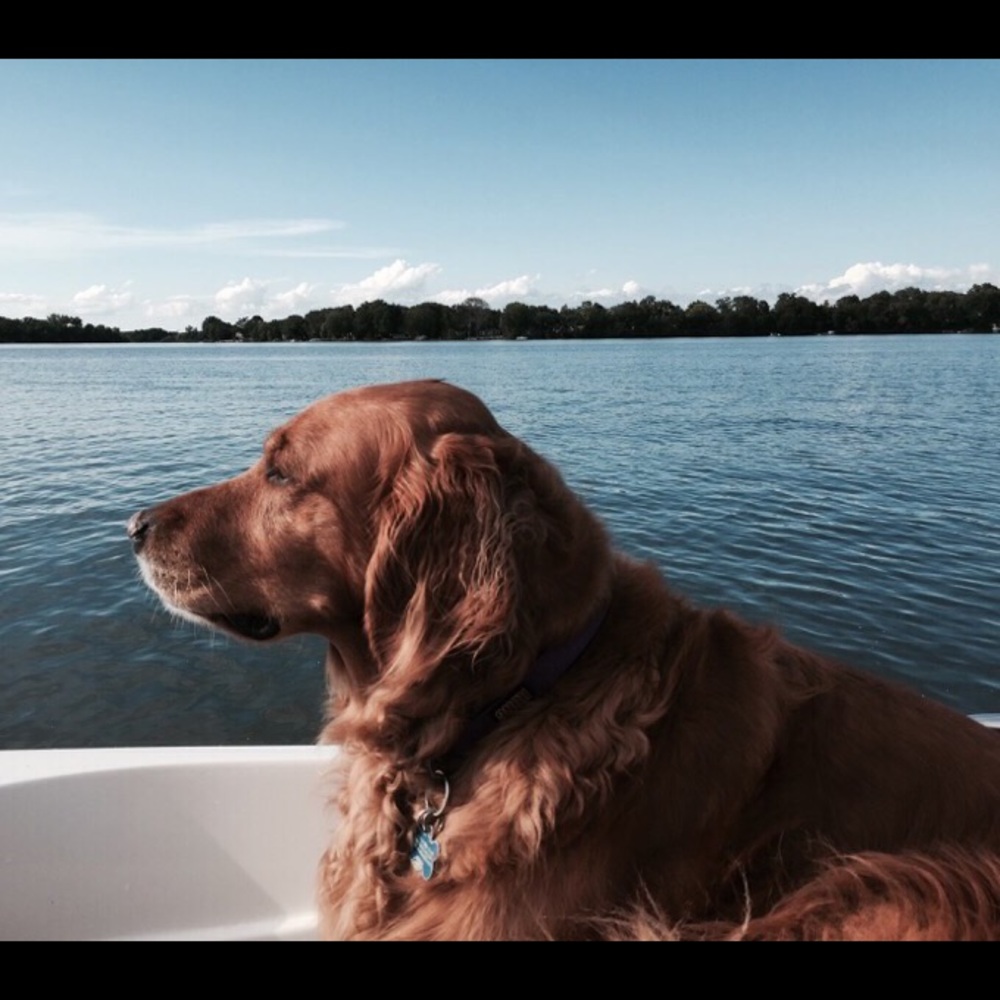 Meet your Posher, Valery